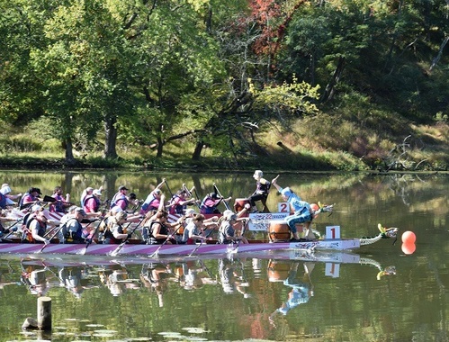 pittsburgh dragon boat festival
