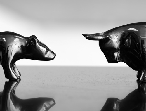 Diversified Investment Opportunities