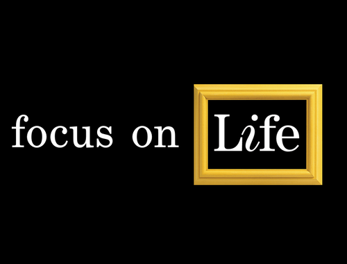 How We Can Guide You