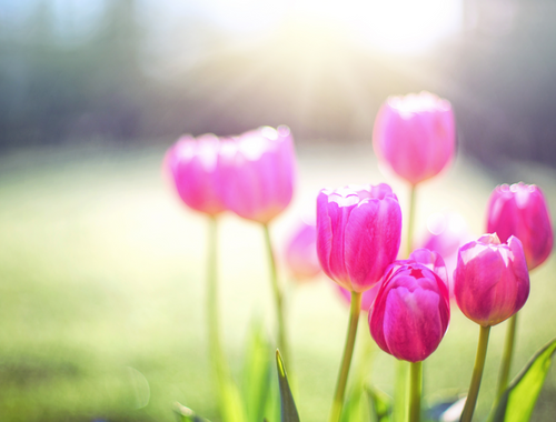 Spring Cleaning Your Trust & Estate