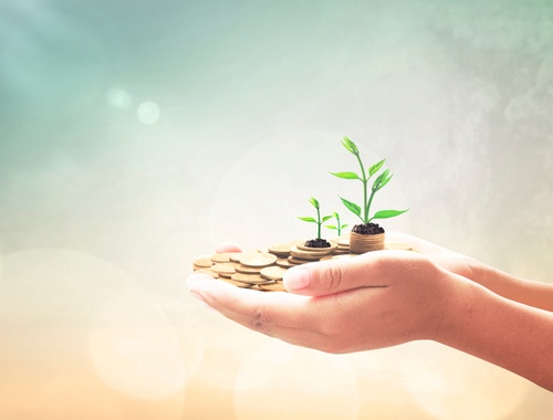 Charitable giving strategies