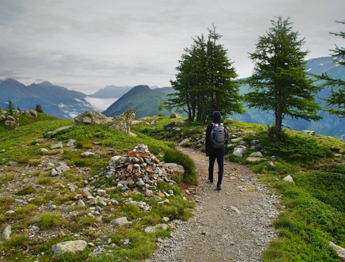 Your Path To Retirement