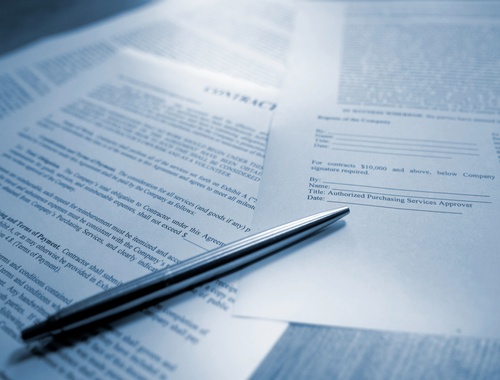  Investment Policy <br/>Statement (IPS)