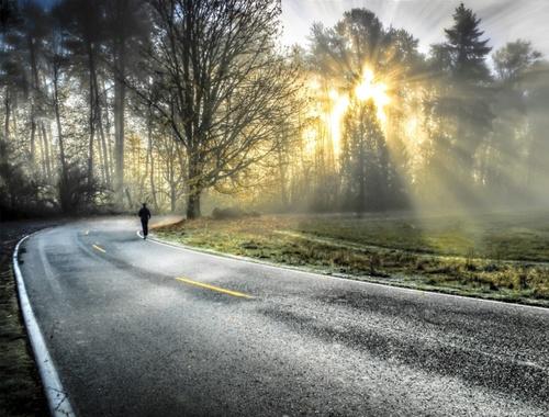Where do you want your financial roadmap to take you?