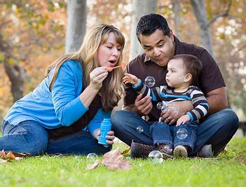 Families