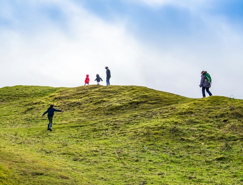 Incorporating Your IRA Strategies
