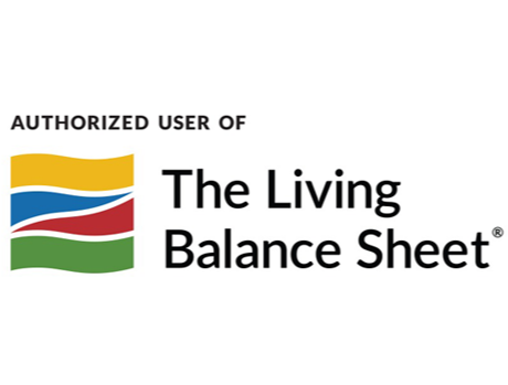 The Living Balance Sheet