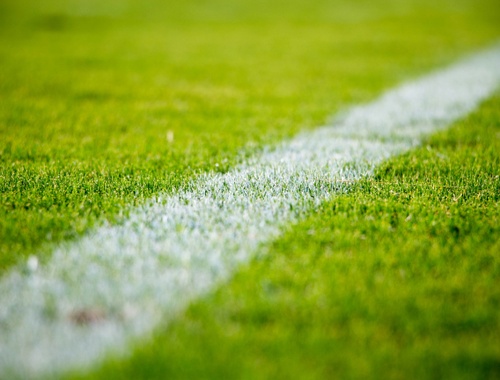 NIL, Endorsements, and Professional Athletics