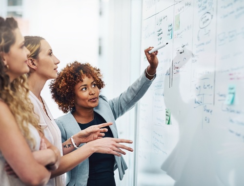Risk Management and Asset Protection