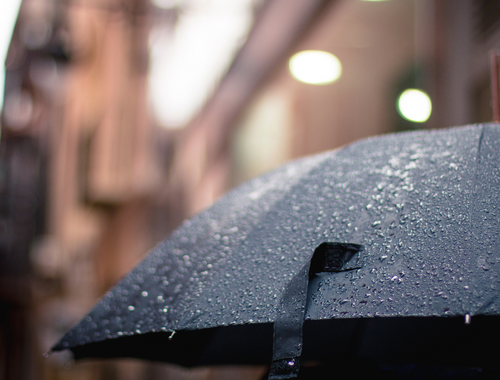 Elevánt Insights Episode 38 - How To Safeguard Your Assets with Insurance