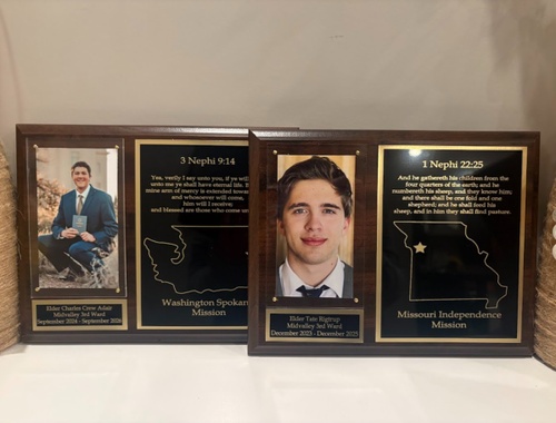Plaques