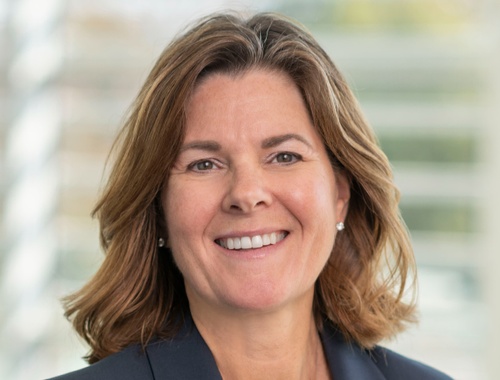Teri M. Hollander Albin,       CFP®, CIMA®, CPWA®