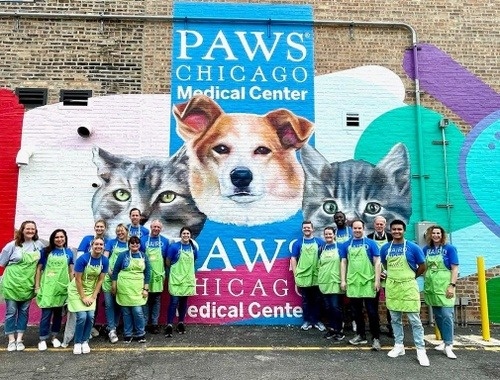 PAWS - Chicago 