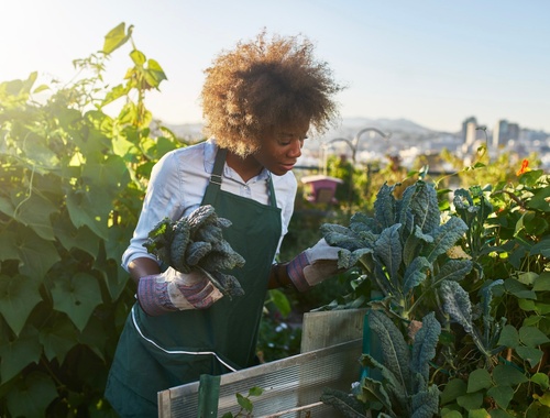 Growing Your Wealth & Family