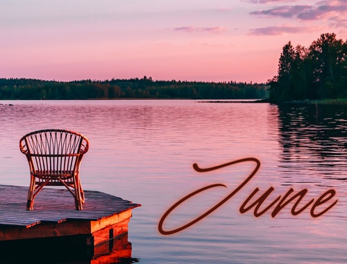 Allied CPA website
