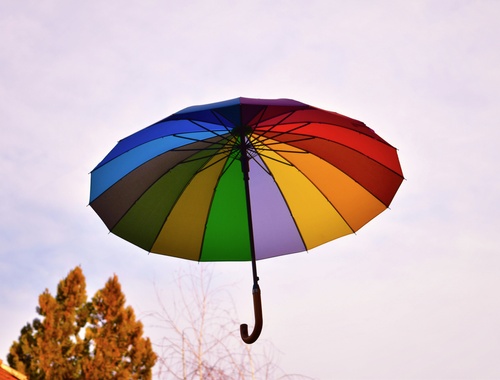 Umbrella