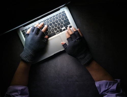Foiling the Financial Fraudsters