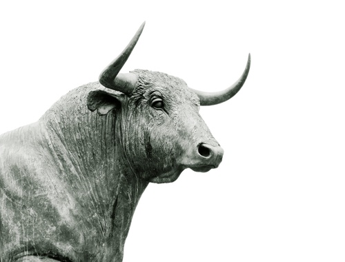 Portfolio Changes & Investment Research 