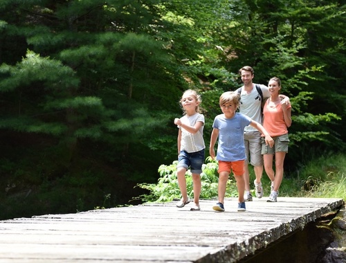 Growing Your Wealth & Family