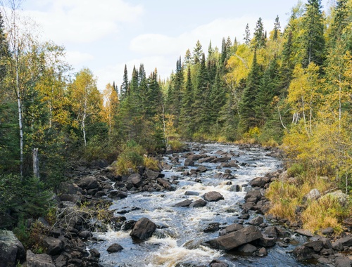 minnesota