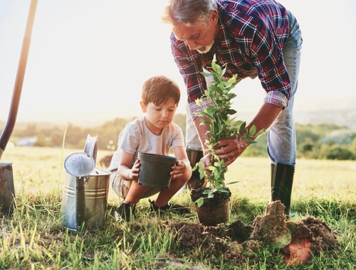 Financial Solutions Adaptable to Real Life