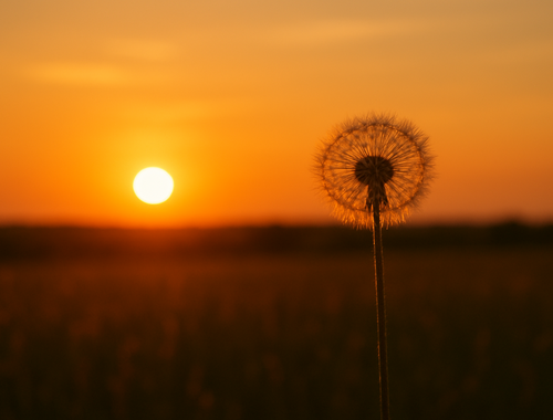 Client Moments That Matter