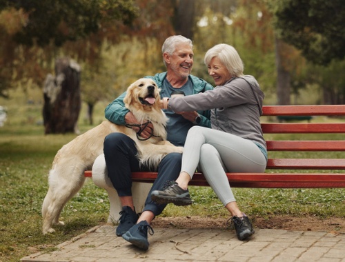 Assess Your Full Financial Picture