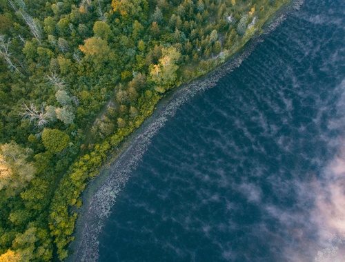 michigan
