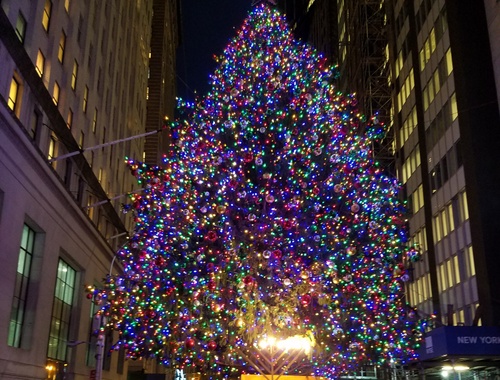 Estate Planning