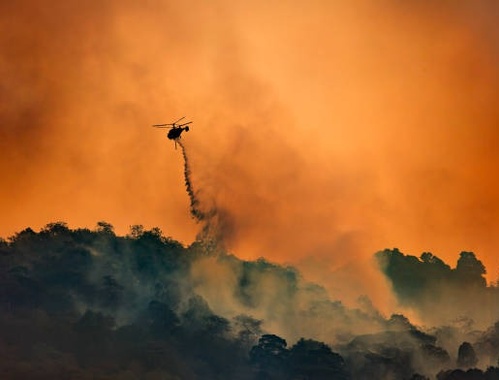 Supporting LA County Wildfire Relief