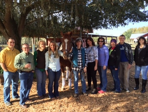 2015 Quantum Leap Farm