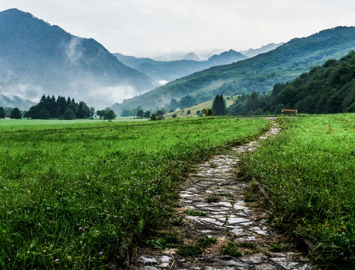 The Importance of Purpose on the Path to Success