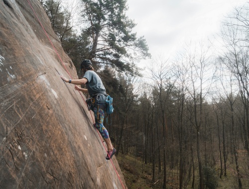 What Is Risk Tolerance?