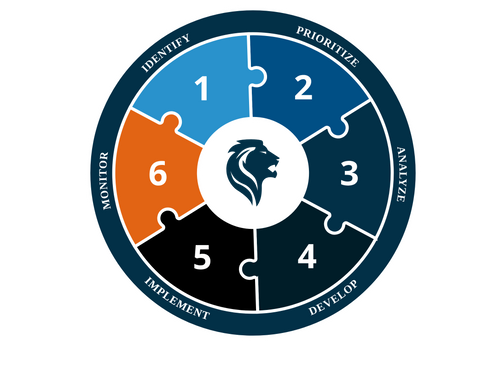 The Six Step TIMC Process