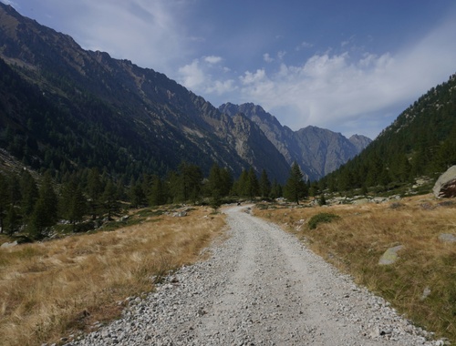 Your Journey With Us 
