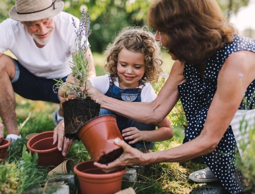 Families & Retirees