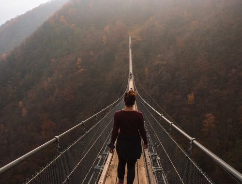 The Advisor Bridge, Inc. Advantage