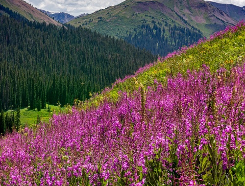 AQI Digital Infrastructure<br/>