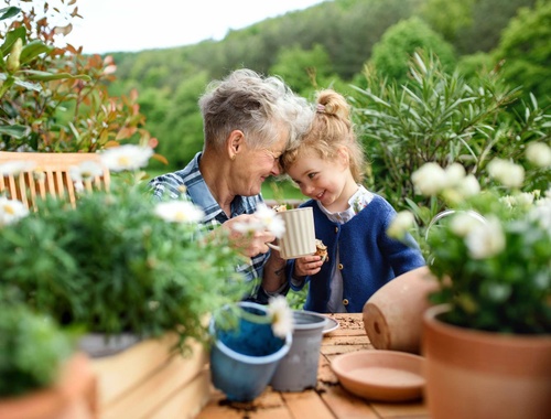 Charitable Giving Strategies