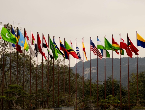 Beyond Our Borders: The Case for International Diversification