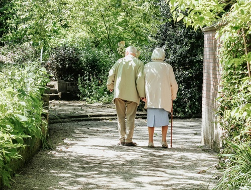 Long-term care and elder planning