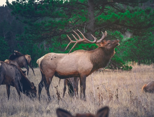 The Bighorn Wealth Management Difference