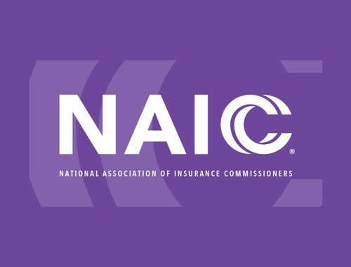National Association of Insurance Commissioners (NAIC)