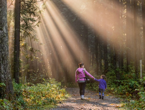 Estate Planning: Securing Your Legacy