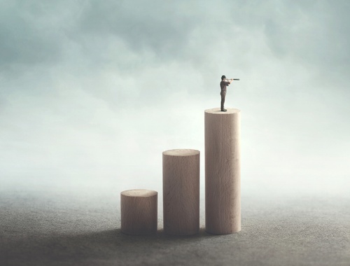 Merger Advisory