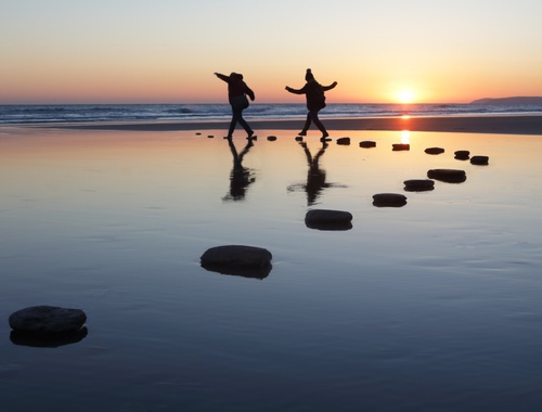 Wealth Management and Forecasting