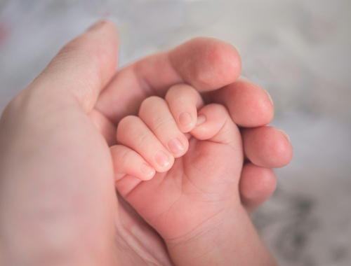  Legacy Planning and Charitable Giving