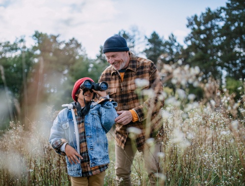 Retirement Asset Management
