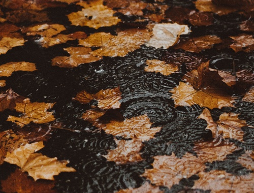 FALL FINANCIAL CHECKLIST