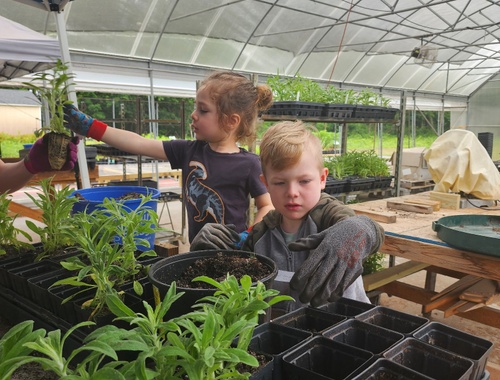 2025 Long Island Native Plan Initiative
